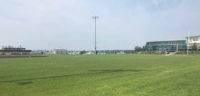 A picture containing grass, sky, outdoor, field
Description automatically generated