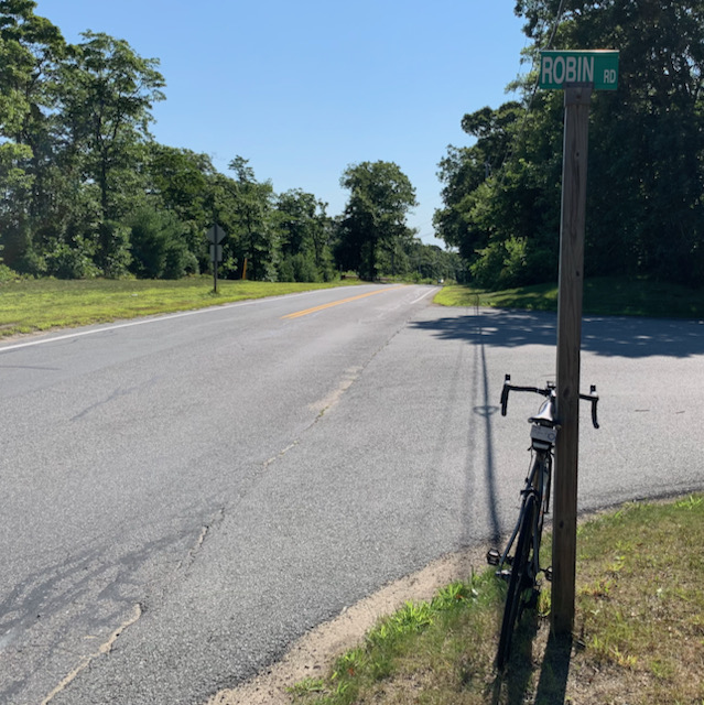 A bicycle leaning against a pole on the side of a road
Description automatically generated with medium confidence